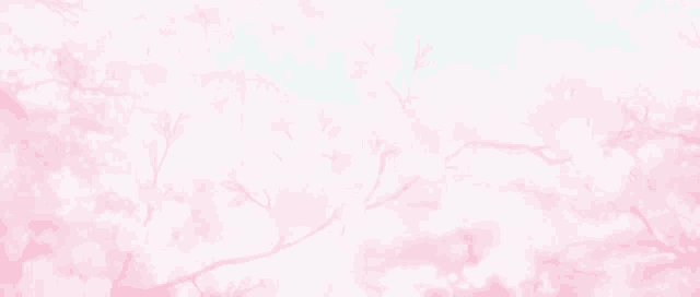 a cherry blossom tree with pink flowers on a white background