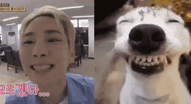 a picture of a man and a picture of a dog with chinese writing on the bottom