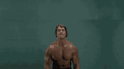 arnold schwarzenegger is holding two cats in his arms with a caption in portuguese