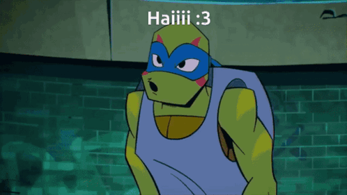 Tmnt Teenage Mutant Ninja Turtles GIF - Tmnt Teenage Mutant Ninja Turtles Michelangelo GIFs
