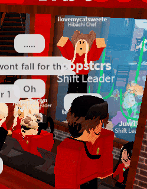 a screenshot of a video game that says ilovemycatsweete