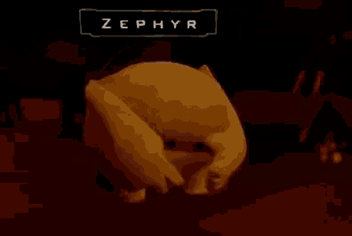 a stuffed animal with the name zephyr on it 's head .