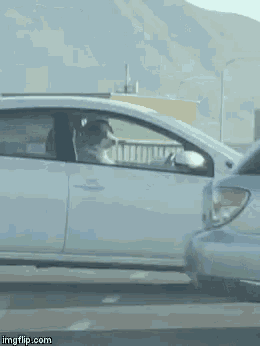 a white car with a dog in the driver 's seat and mountains in the background