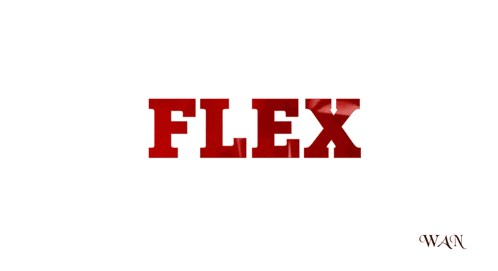 a white background with the word flex in red