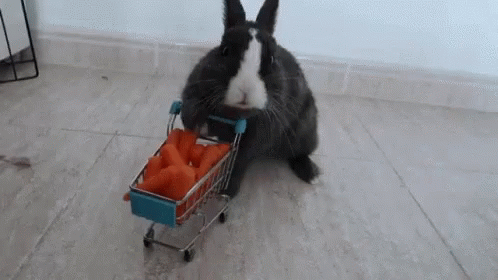 Shopping Rabbit GIF - Shopping Rabbit Cute GIFs