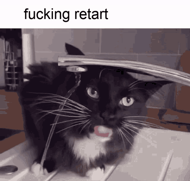 a black and white cat drinking water from a faucet with a caption that says fucking retard