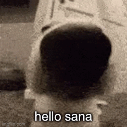 Hello Sana Dog GIF - Hello Sana Dog GIFs
