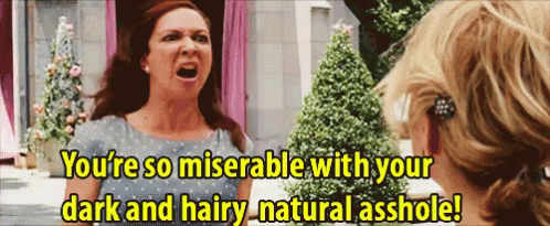 You'Re So Miserable With Your Dark And Hairy Natural Asshole! - Bridesmaids GIF - Bridesmaids Maya Rudolph Lillian GIFs