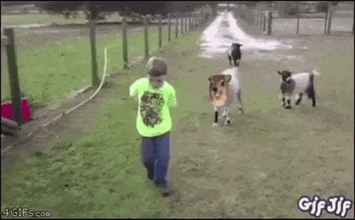 a boy in a neon green shirt is standing in a field with a sheep in a white dress behind him .
