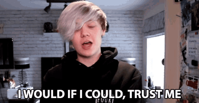 I Would If I Could Trust Me Pyrocynical GIF - I Would If I Could Trust Me Pyrocynical Ill Do It If I Could GIFs