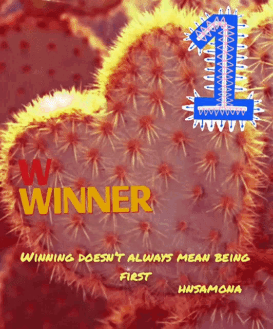 a picture of a cactus with the words " winner " on it