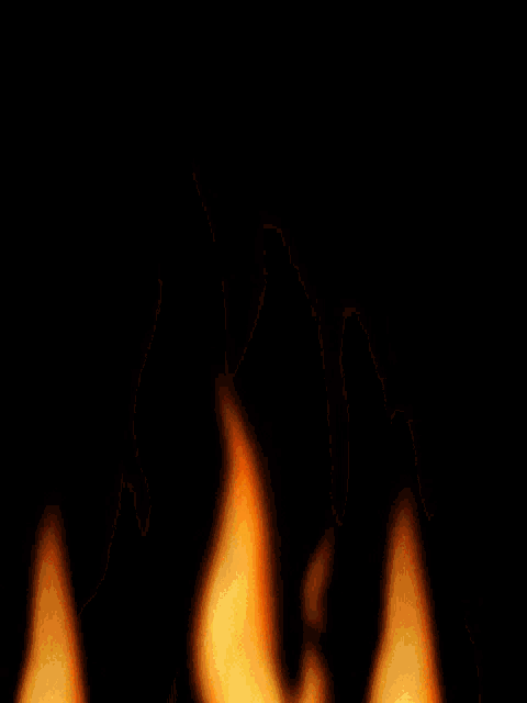 a close up of a fire flame on a black background .