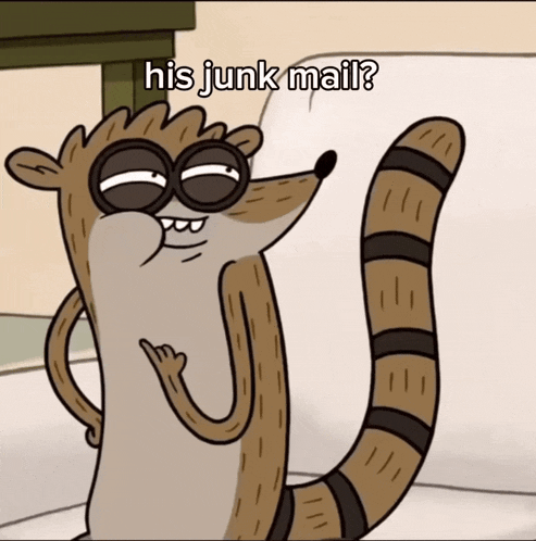 a cartoon of a raccoon with the words his junk mail above him