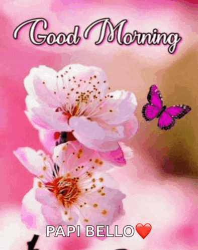 a butterfly is flying over a pink flower with the words good morning papi bello