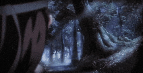 a person is standing in a dark forest with a tree in the background