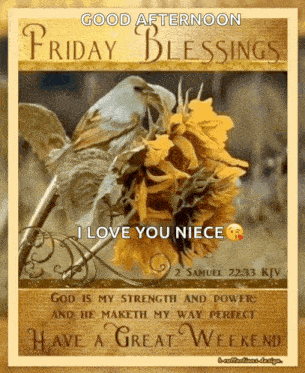a card that says good afternoon friday blessings and i love you niece