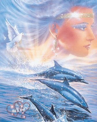 Love Dolphin GIF