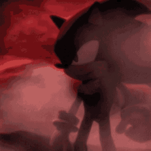 shadow the hedgehog from the video game sonic the hedgehog is standing in the fog
