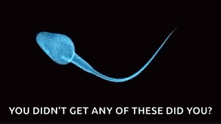 a picture of two sperm cells with the words `` you didn 't get any of these did you '' written below them .