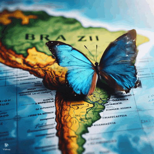 a blue butterfly sitting on top of a map of brazil