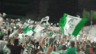a crowd of people are waving green and white flags .