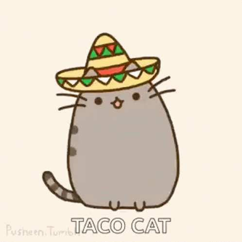 Pusheen Cats GIF - Pusheen Cats Taco Cat GIFs