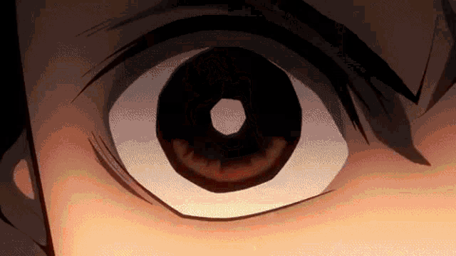 a close up of a person 's eye with a circle in the middle of it .