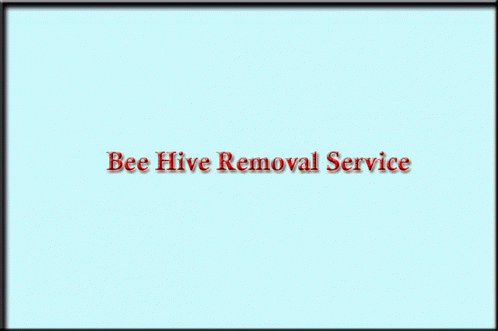 Bee Hive Removal Service Near Me Honey Bee Removal Near Me GIF - Bee Hive Removal Service Near Me Honey Bee Removal Near Me Bee And Wasp Removal Near Me GIFs