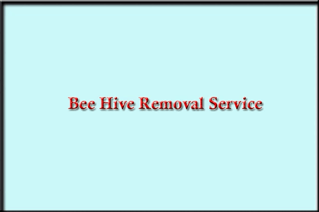 bee hive removal service is advertised on a poster