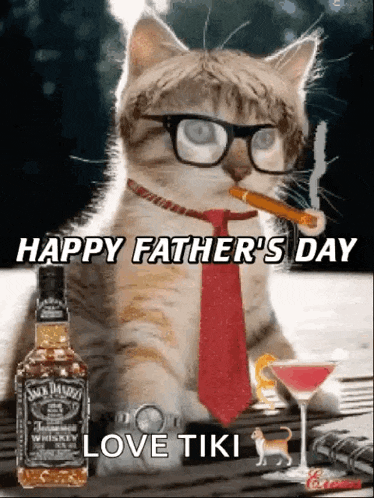 a cat wearing glasses and a red tie is smoking a cigar and drinking whiskey .