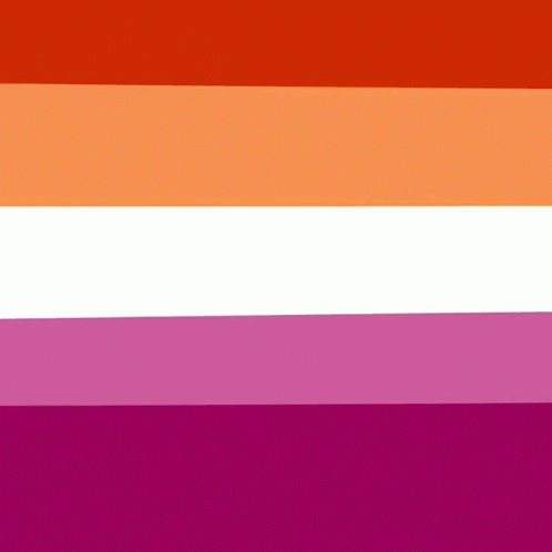 Seventeen Flag GIF - Seventeen Flag Lesbian GIFs