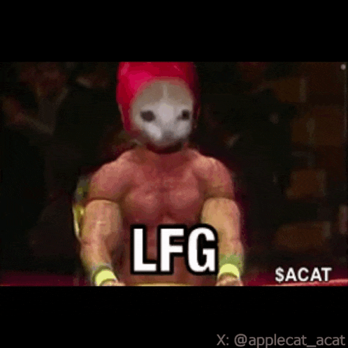 a cartoon of a man with a mask and the word lfg on it