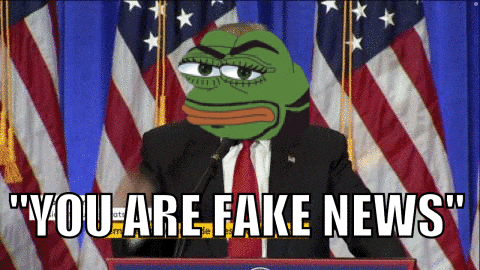 pepe the frog is giving a speech with the words " you are fake news " below him