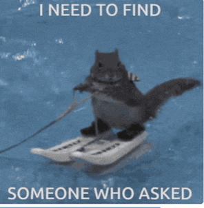 a picture of a squirrel skiing with the words i need to find someone who asked below it
