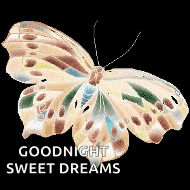 a colorful butterfly with the words goodnight sweet dreams below it