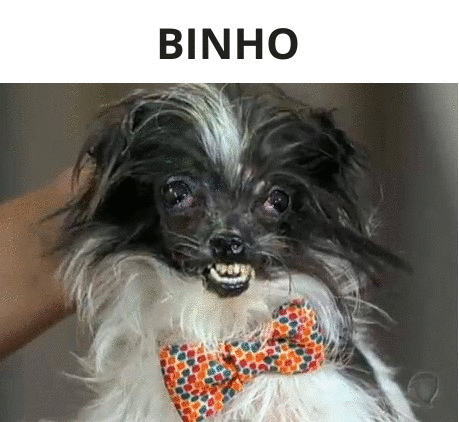 Binho GIF - Binho GIFs