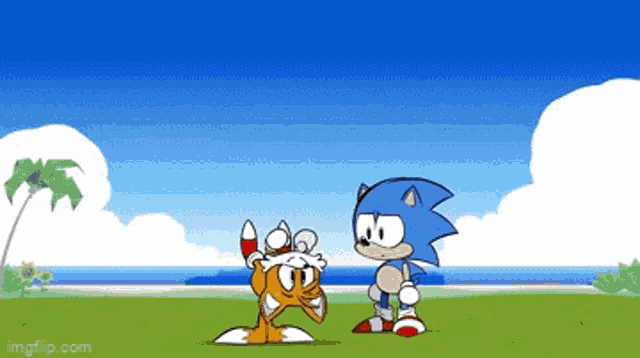sonic the hedgehog and tails the fox are standing next to each other