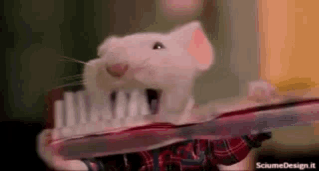 a mouse is brushing its teeth with a toothbrush