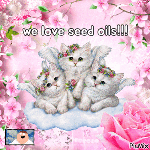 a picture of three kittens with flowers on their heads and the words we love seed oils !!!