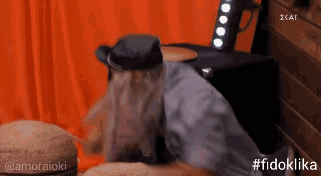 a cat wearing a hat is sitting on a table with the hashtag #fidoklika