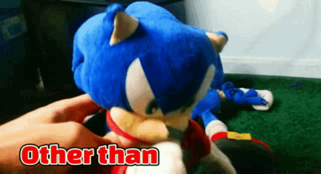a sonic the hedgehog stuffed animal is being held by a person and says other than