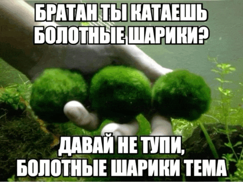 a hand holding a bunch of green balls with russian writing