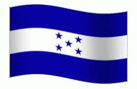 Honduras Flag Flag GIF - Honduras Flag Flag Honduras GIFs