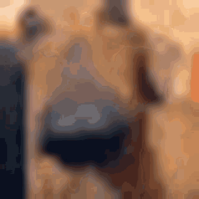 a blurry picture of a person standing in front of a wall .