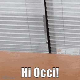 an otter looking out a window with the words hi occi written below it
