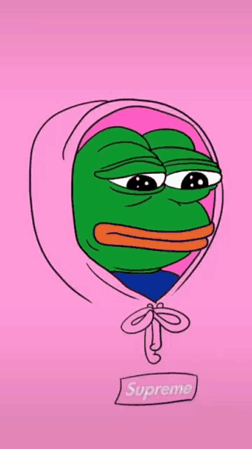 a frog wearing a pink hoodie with the word supreme on the bottom