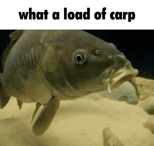 Shrimple Its As Shrimple As That GIF - Shrimple Its As Shrimple As That What A Load Of Carp GIFs