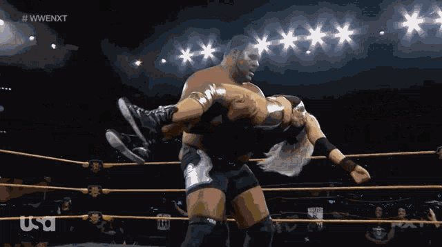 wrestlers in a ring with the word usa in the corner
