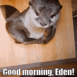 Good Morning Eden GIF - Good Morning Morning Eden GIFs