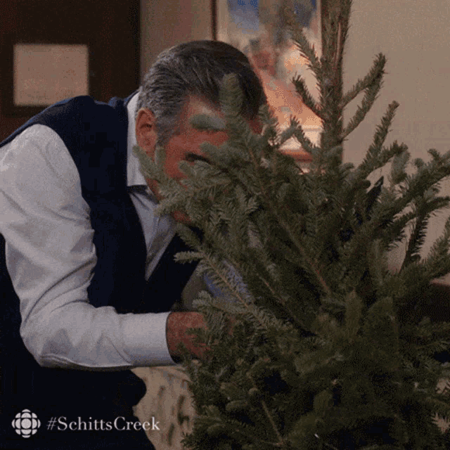 a man smelling a christmas tree with the #schittscreek logo in the corner